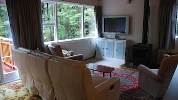 TV connectée, cheminée, lecteur de DVD, livres