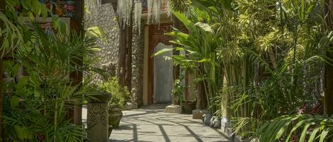 A wooden pathway flanked by large potted plants and a stone wall, leading to a door.
