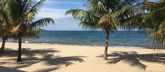 Beach Front Cottage in the heart of Placencia Village