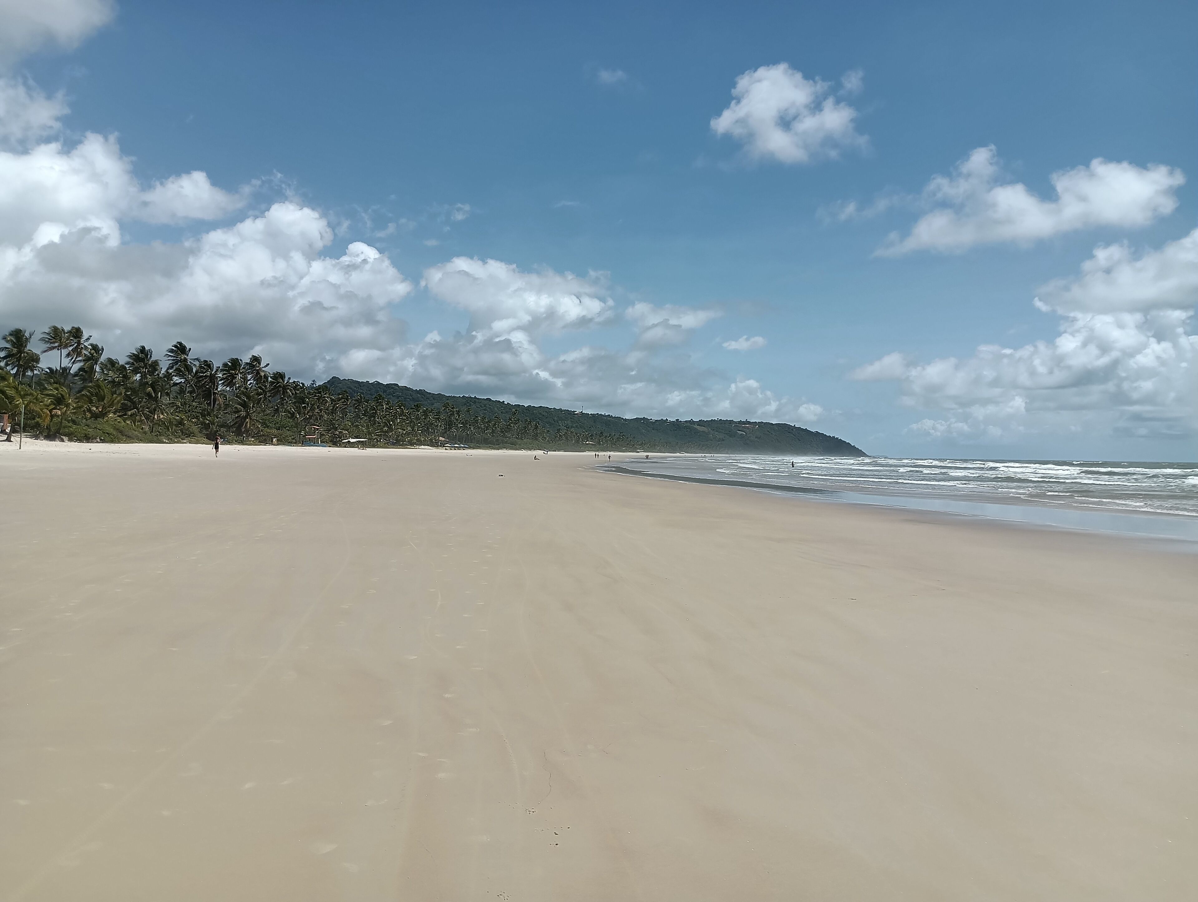 Une vaste plage de sable bordée de palmiers, avec des collines en arrière-plan.