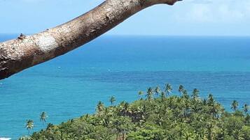 Ubicación a pie de playa