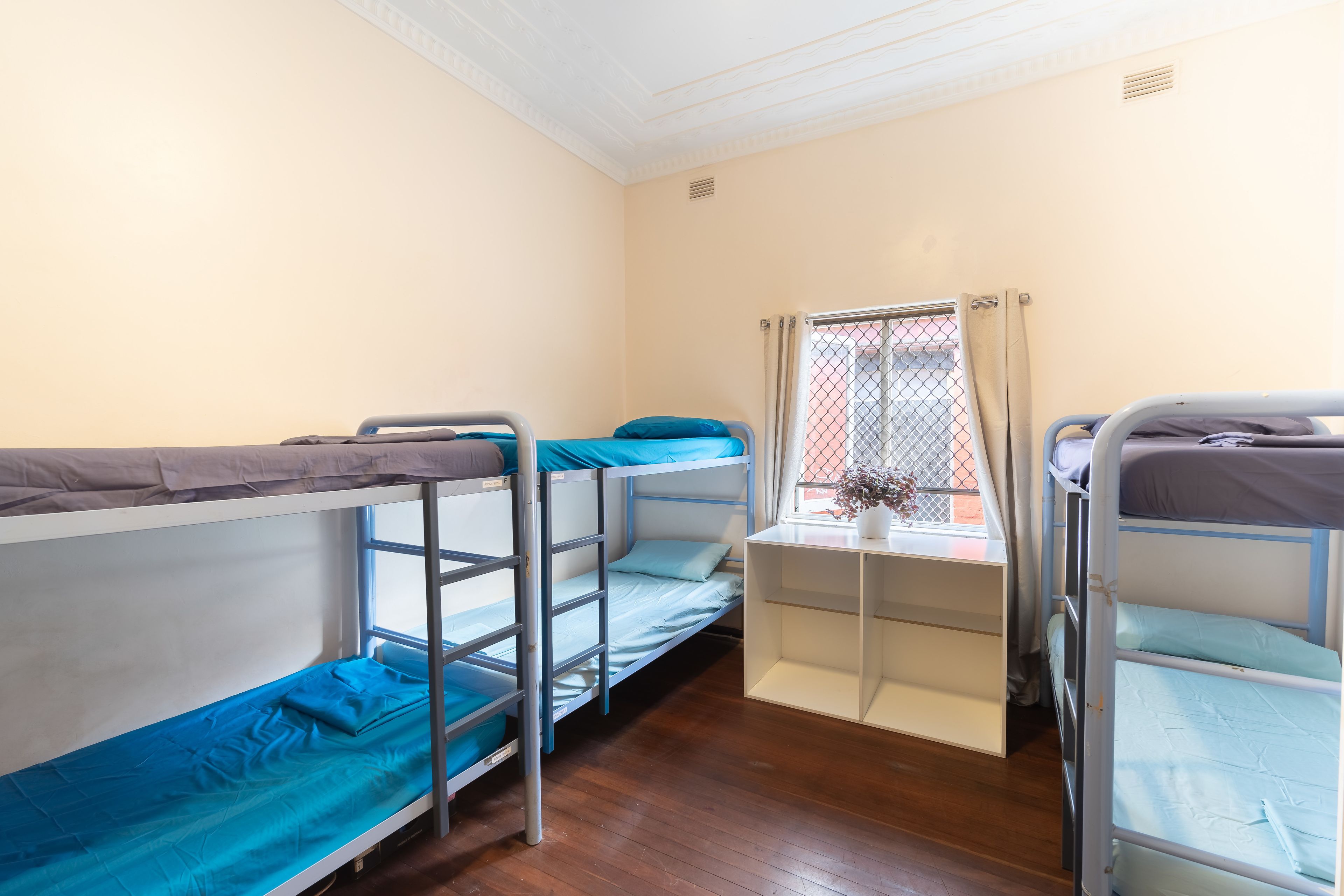 A dormitory room with bunk beds, a small table with a vase, and a window with curtains.
