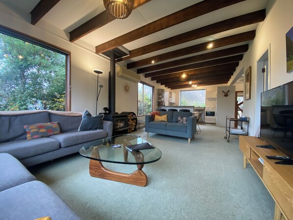 Smart TV, fireplace, books, stereo