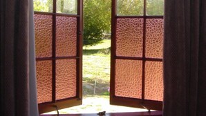A window with a textured glass pane, a view of a grassy area, and a tree in the background. - Lovely overnight double room with en-suite (Alexandra)