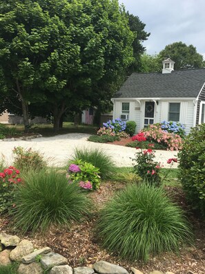 Property grounds - Convenient to all amenities and beaches in Chatham (Chatham)