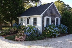 Exterior - Convenient to all amenities and beaches in Chatham (Chatham)