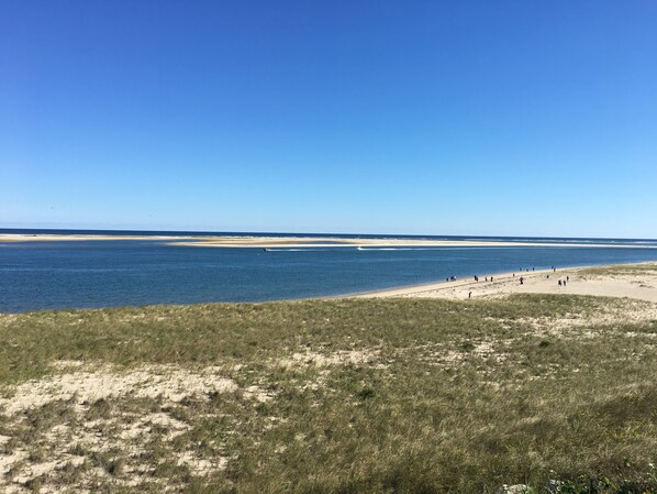 Beach - Convenient to all amenities and beaches in Chatham (Chatham)