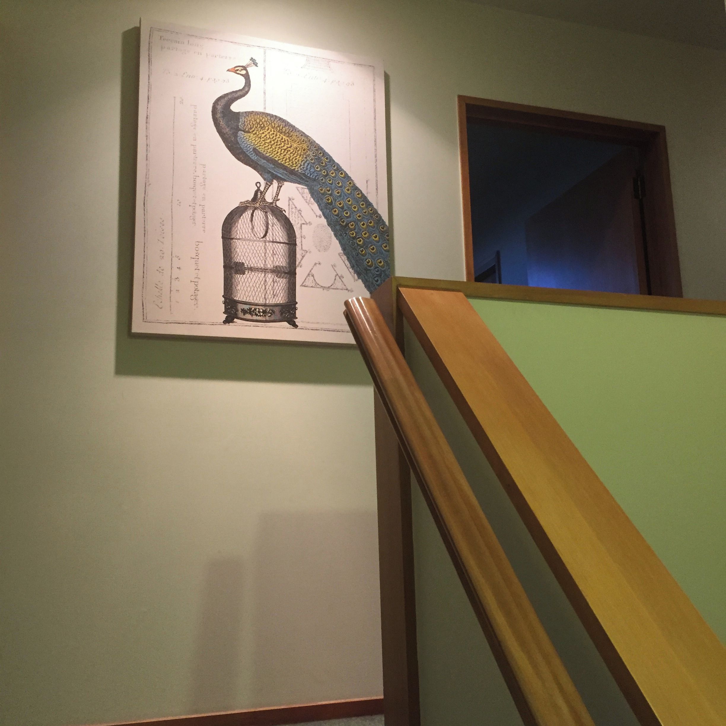A staircase with a wooden handrail and a wall-mounted picture featuring a peacock and a birdcage.