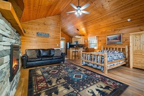 TV, fireplace, DVD player