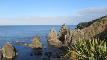A coastal landscape with rocky formations and a clear view of the sea.
