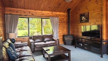 电视、壁炉、DVD 播放器、立体声音响