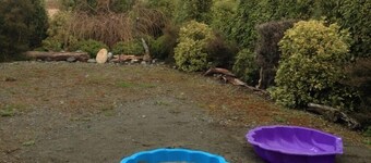 Panoramic Fiordland lake views from sunny rooms. Fresh wind blown Linen ! 😀!