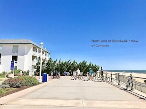 On the beach, sun loungers, beach towels