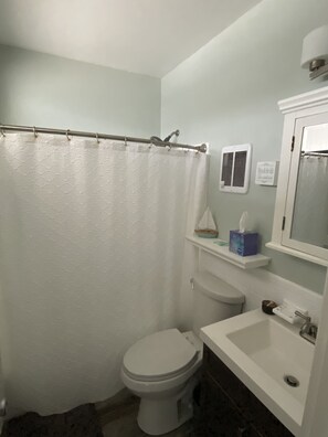 Hair dryer, towels, soap, toilet paper - Virginia Beach Oceanfront/Boardwalk, Beach, Pool & Balcony (Virginia Beach)