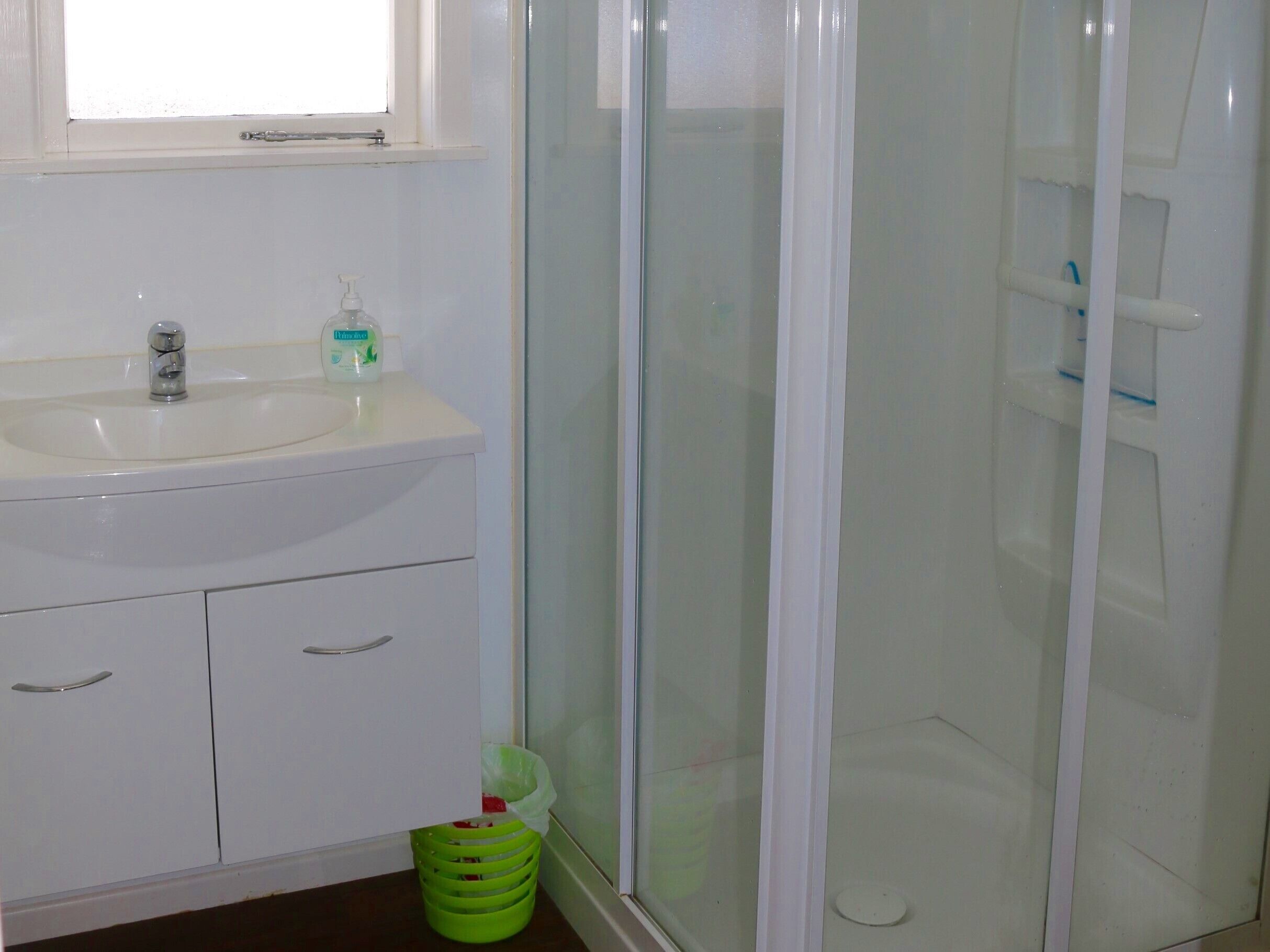 Shower, hair dryer