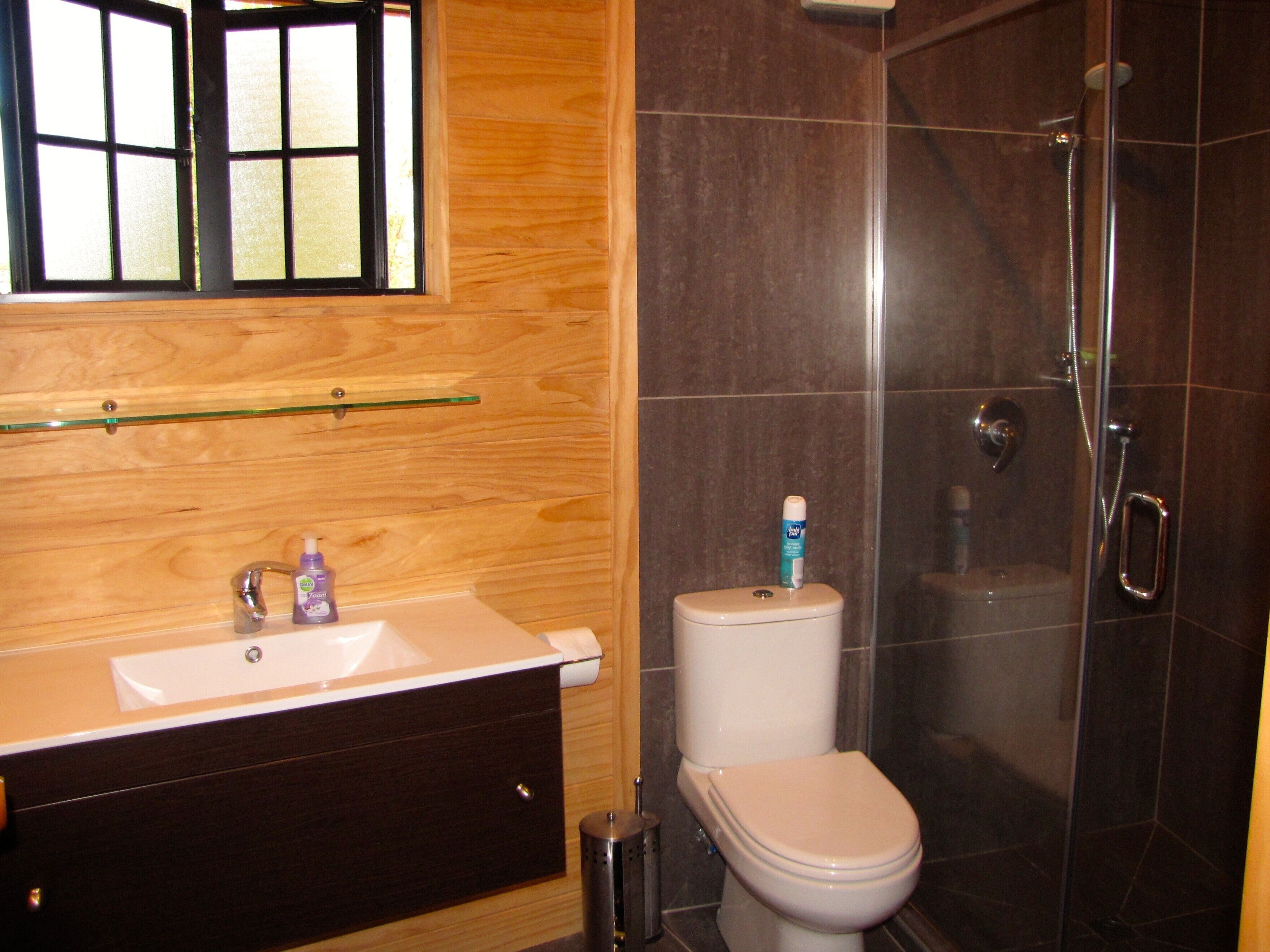 Douche, sèche-cheveux