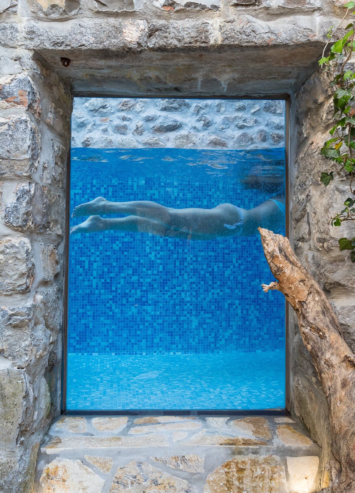 オーナーのプロフィール画像