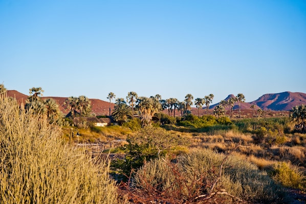 Front of property - Palmwag Lodge (Palmwag)