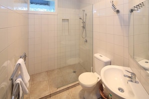 Shower, hair dryer