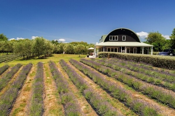 Parco della struttura