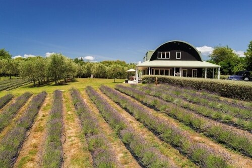 Lavender Hill Luxury Bandamp; B