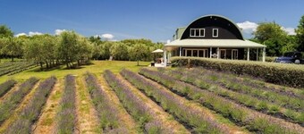 Lavender Hill Luxury Accommodation