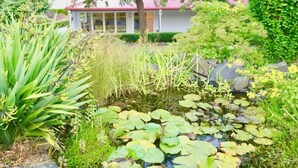 A garden with a pond, rocks, and various plants. - Maison du Campagne in French Farm, Akaroa (Wainui (Banks Peninsula))