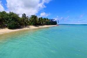 A beach with clear turquoise water, palm trees, and a sandy shore. - Beach Haven, right on the beach (Vaimaanga)