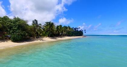 Beach Haven, right on the beach