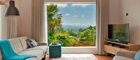 TV, fireplace, DVD player