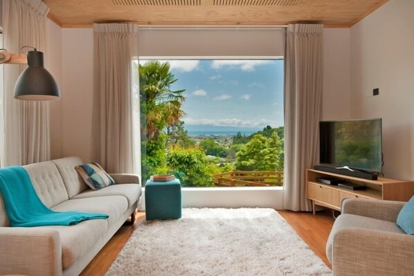 TV, fireplace, DVD player