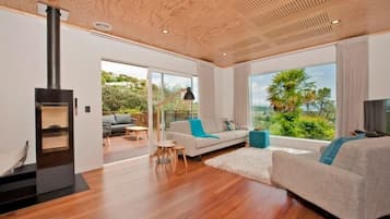 TV, fireplace, DVD player