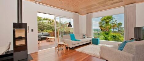 TV, fireplace, DVD player