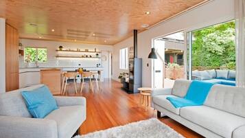 TV, fireplace, DVD player