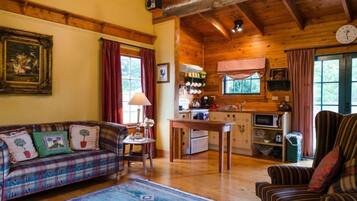 Televisio, takka, DVD-soitin, kirjoja