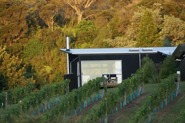 Bach nestled into the vines