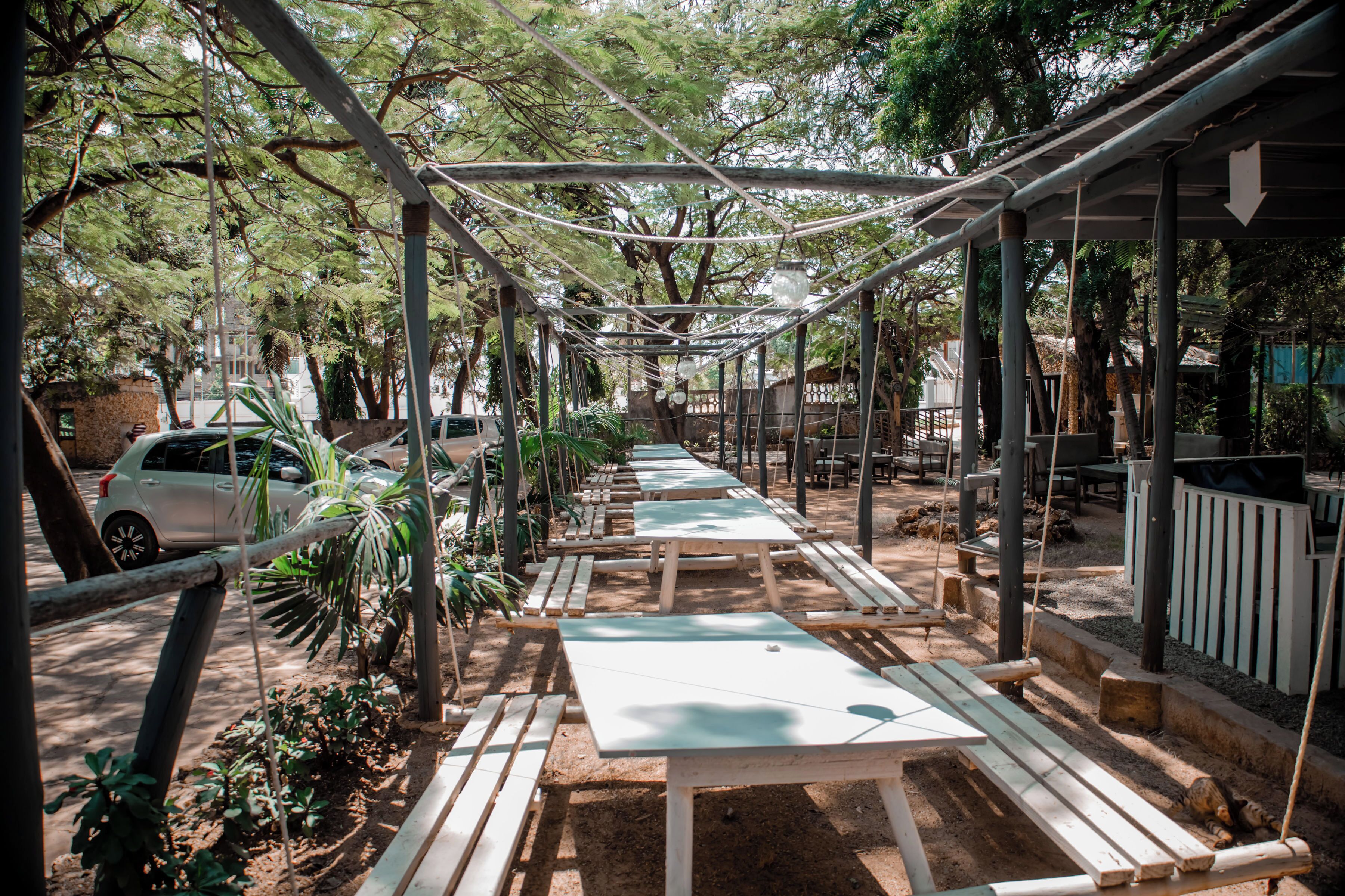 Un espacio al aire libre con mesas y bancos bajo una pérgola de madera, rodeado de árboles y plantas.
