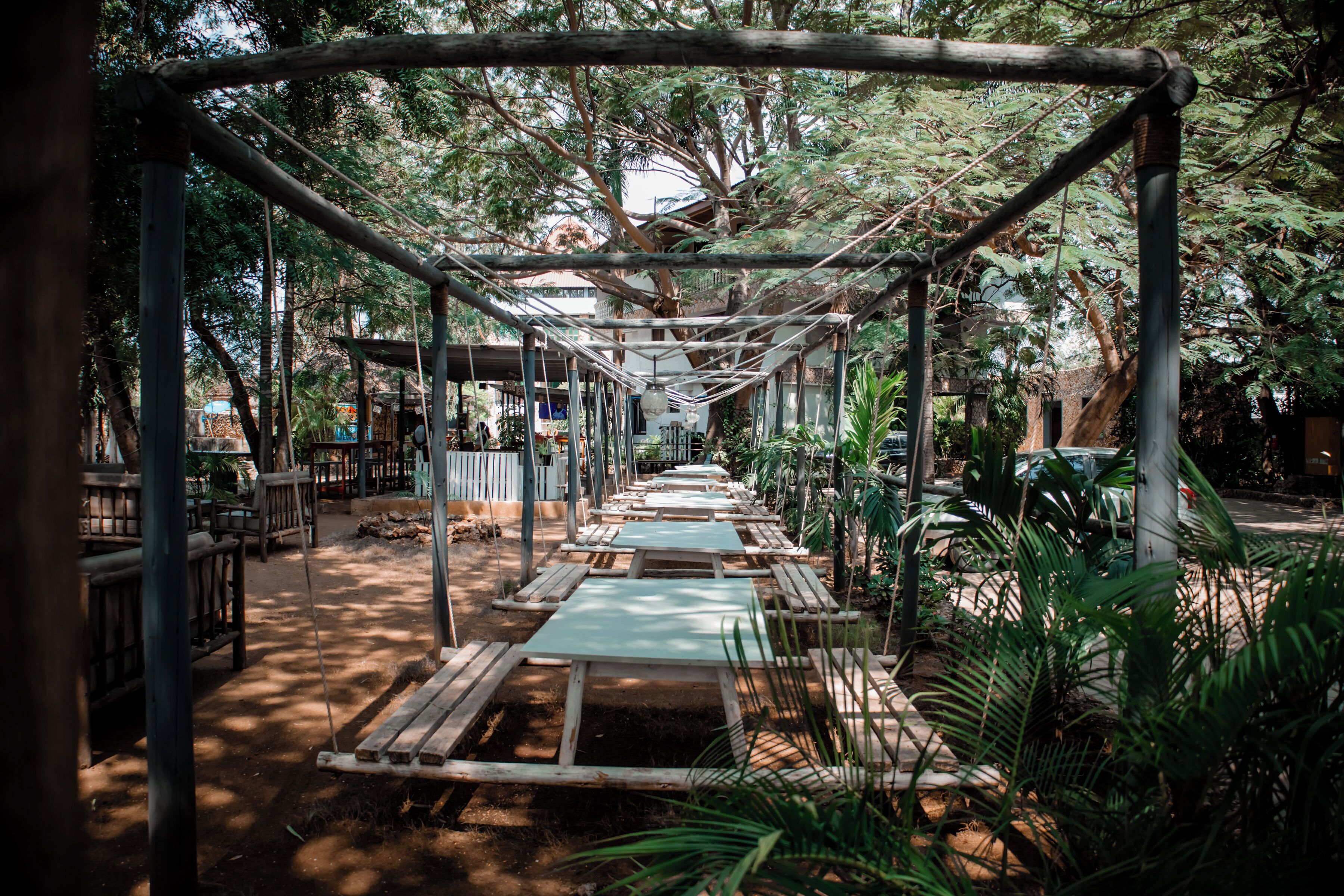 Un espacio al aire libre cubierto con mesas y bancos de madera, rodeado de árboles y follaje.