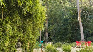 A serene garden with a Buddha statue, a small pond, and a wooden fence. - Rose des Pyrénées (Belvianes-et-Cavirac)