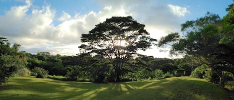 Jardines del alojamiento