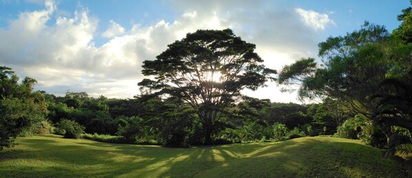 Overnattingsstedets uteområder
