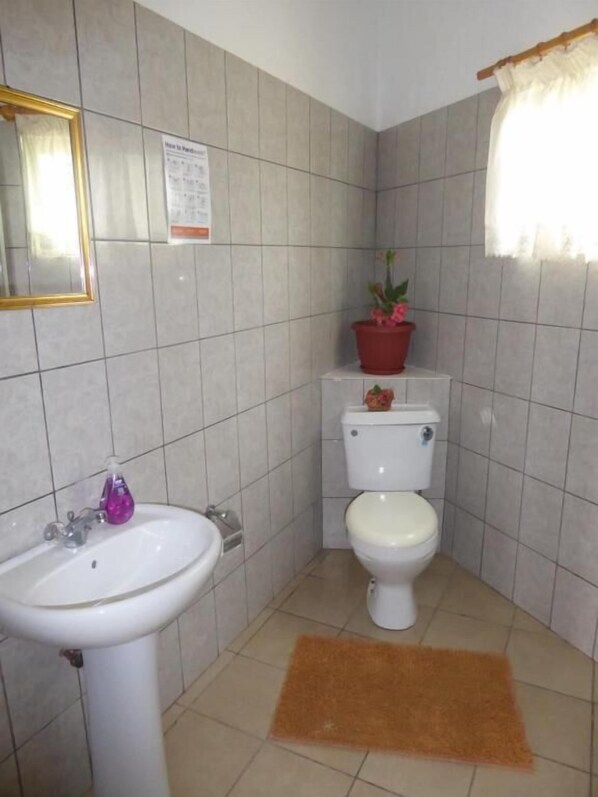 Un baño con lavamanos blanco, inodoro y una planta en maceta sobre el inodoro.