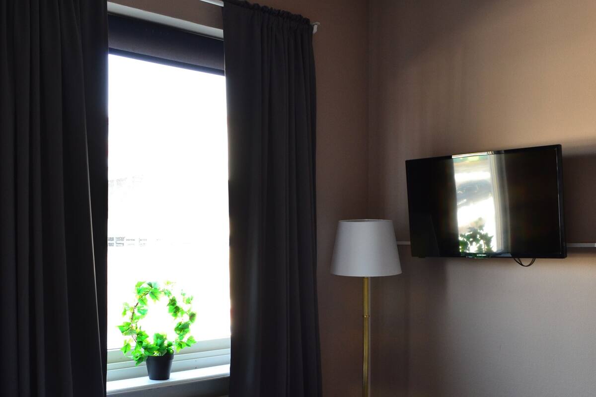 A hotel room with a bed, a potted plant by the window, a lamp, and a TV on the wall.