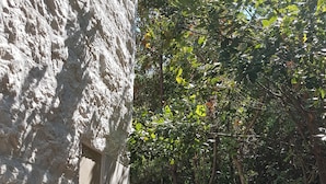 A stone wall with a small table and two chairs, surrounded by greenery. - Apartment Mali Skoj - Two-Bedroom Apartment with Sea View (Sudurad)