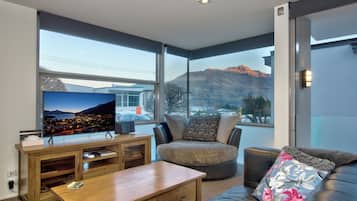 Smart TV, fireplace, Netflix, books