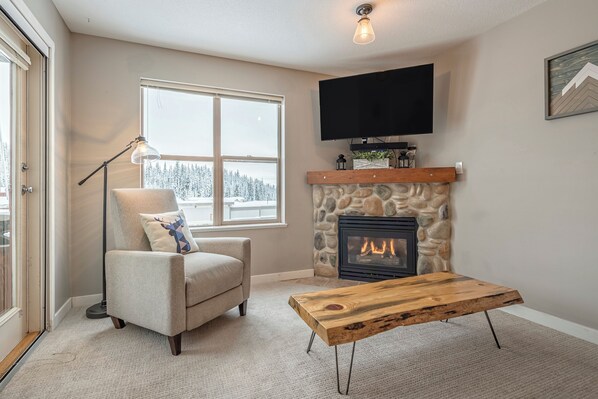 TV, fireplace, books