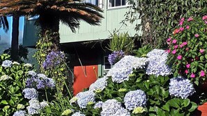 Un edificio de techo rojo y ventanas blancas, rodeado de exuberante vegetación y flores de hortensia.