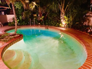 Pool - Gorgeous Private Pool Home (HALLANDALE BEACH)