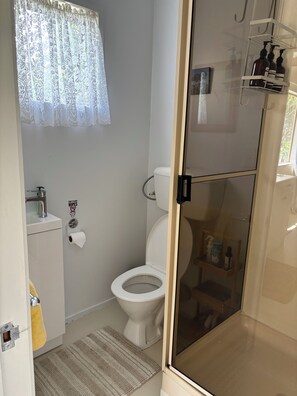 Shower, hair dryer, soap, shampoo