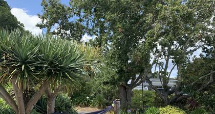 Sea, bush and gardens surround Mason Lane Apartment